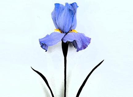 Crepe Paper Irises