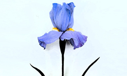 Crepe Paper Irises
