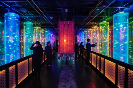 Art Aquarium Museum GINZA