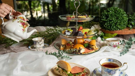 High-Tea-2024-dairy-free-and-vegetarian-2024-May-16-2024-1-of-5-768x432