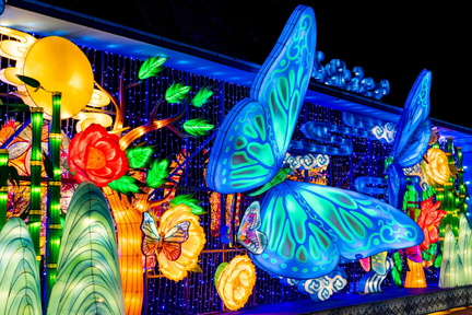 The Grand Rapids Lantern Festival