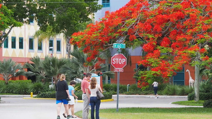 Poinciana Fiesta Celebration Party and Exhibition