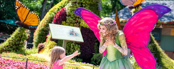 Flower and Food_Festival