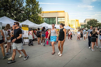 The Village Summer Main Street Fest