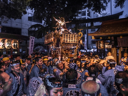 Torigoe Matsuri