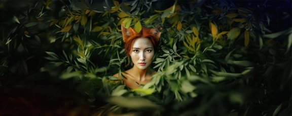 The Cunning Little Vixen