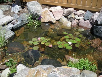 Parade of Ponds &amp; Waterfalls