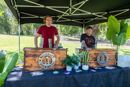 42nd Annual Walnut Creek Art &amp; Wine Festival