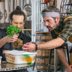 Bonsai Workshop