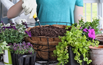 Make Your Own Hanging Basket Workshop