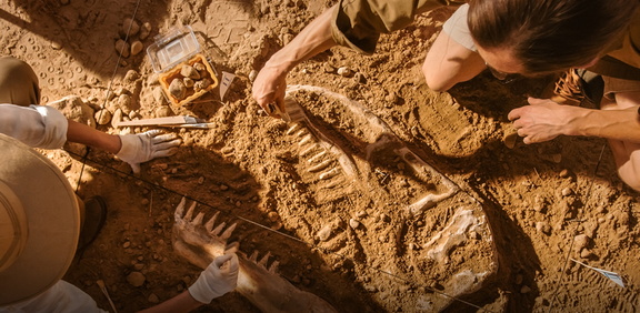 Spring Safari Paleontology