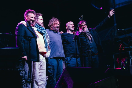 Hothouse Flowers