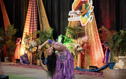 Houston Africa Day