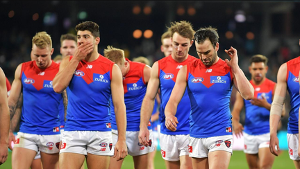 AFL Round 14 Port Adelaide v Melbourne