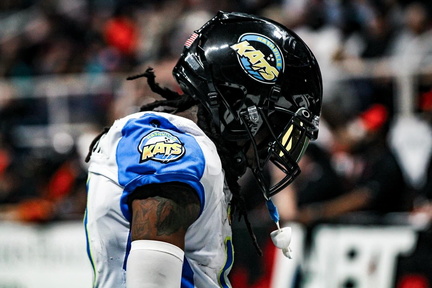 Nashville Kats