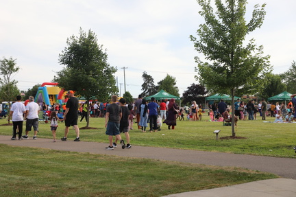 Festival in the Park