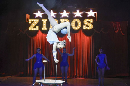 Zippos Circus