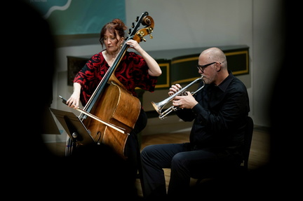 Summer Music Festival Festival Artist Concert