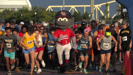 Bats 5K