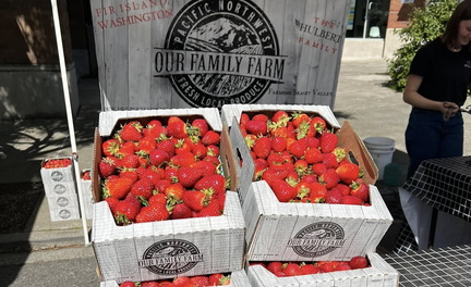 Strawberry Festival