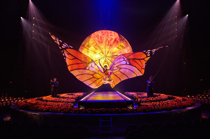 Cirque du Soleil: Luzia
