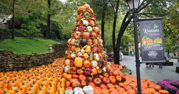 DW-Harvest-Festival-Feature-2024