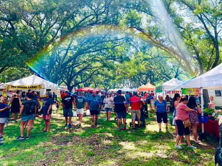 Carrollwood Market