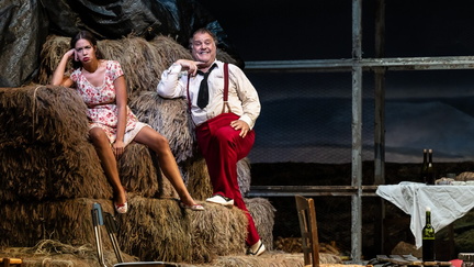 L'elisir d'amore