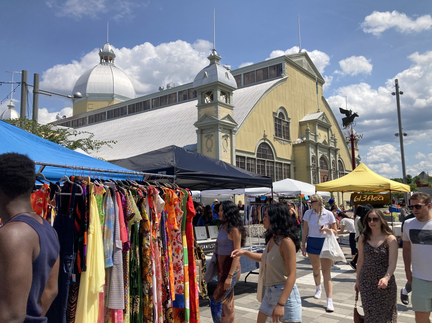 613Flea Ottawa