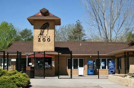 Zoofari