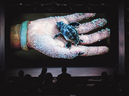 International Ocean Film Festival (World Ocean Celebration)