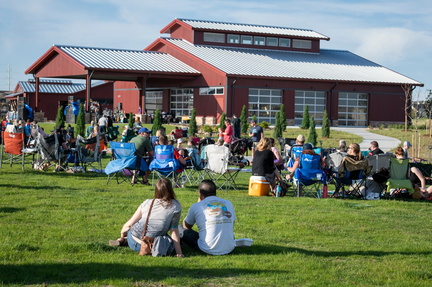 Summer Concert Series