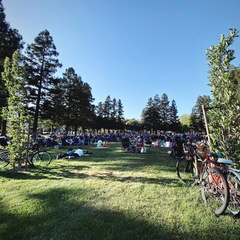 Music in the Park