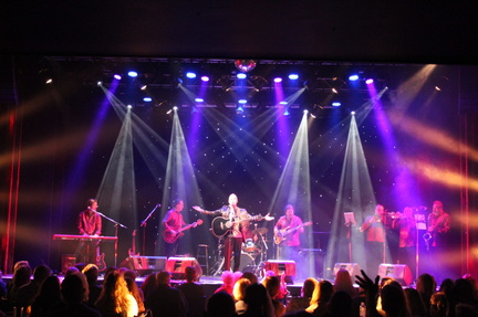 Robert Neary A Tribute to Neil Diamond