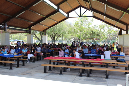 Summer Picnic 2025