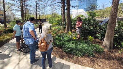 Guided Walking Tour