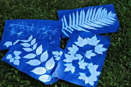 Art Class Solar Printing