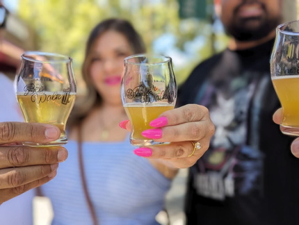 Willow Glen Beer Walk