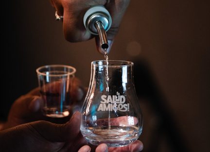 Salud Amigos! Fest