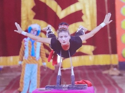 gemini circus