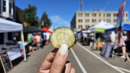 Houston Pickle Festival