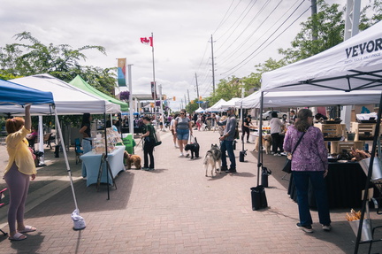 Dogsville - Streetsville Village Square