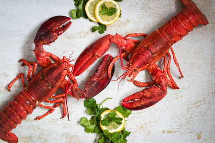 lobster