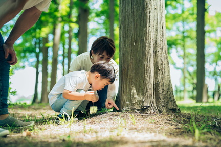 Family Fun Hour T is for Tree