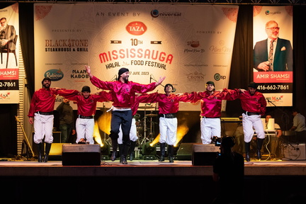 Annual Handi Mississauga Halal Food Festival