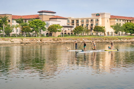 stand-up-paddle-boards