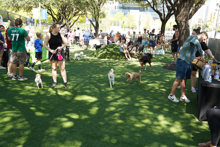 Pup Pop-Up My Best Friend's Park