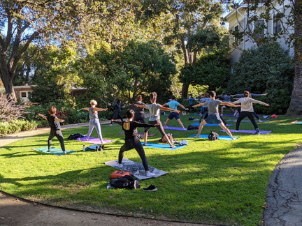 Yoga In The Garden