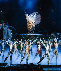 cats-international-cast-1