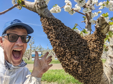 2nd Annual Pollinator Festival